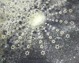 うちの定番！ふんわりオムレツのオムライス作り方9写真