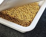 【防災】備蓄するべきインスタント麺の種類作り方4写真