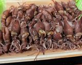 ホタルイカのなめろう作り方1写真