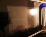 レンジで幸せハムたまごチーズサンド作り方5写真
