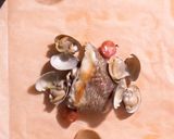 アサリと鯛の包み蒸し【食遺産】作り方7写真