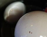 温泉卵 茹で卵 ゆで時間 まとめ作り方1写真
