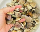 簡単・あさりの砂抜き・蛤の砂抜き作り方1写真