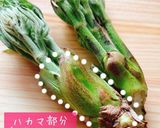 たらの芽の下処理作り方1写真