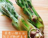 たらの芽の下処理作り方2写真