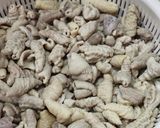 1人前100円以下！もつのネギポン酢がけ作り方2写真