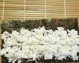 王道細巻き(身内専用)作り方6写真