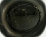 大根と海老の白湯炒め♡作り方6写真