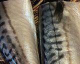 サバの煮付け作り方1写真