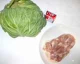 春キャベツ鶏肉のカレーガーリック炒め作り方1写真