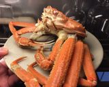 活ズワイガニの刺身の手順作り方12写真