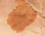 食紅不使用の桜餅。15個分。作り方8写真