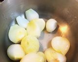 牛肉たっぷり新玉ねぎで作るビーフカレー作り方7写真