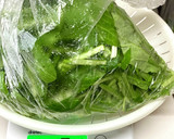 簡単、壬生菜の漬物（同様に水菜の漬物）作り方2写真