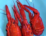 ザリガニ天丼＆ザリガニの味噌汁作り方1写真