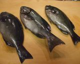 メジナのあんかけ作り方1写真