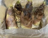 ●母直伝●生の筍、下処理〜茹で方作り方1写真
