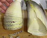●母直伝●生の筍、下処理〜茹で方作り方7写真