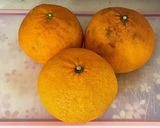 貰い物の有効活用(夏みかん編)ジャムかな作り方1写真