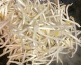 中華風　もやしとほうれん草の豚肉玉子炒め作り方6写真