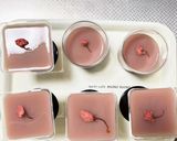 桜といちごとあんこ　春のお花見3層ゼリー作り方10写真