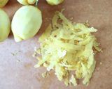 イタリアのレモンのお酒【リモンチェッロ】作り方1写真