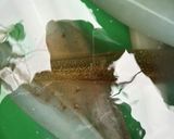 釣ってきたヤリイカでアートっぽく作り方1写真