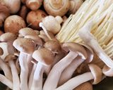 きのこ麹作り方1写真