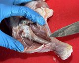 鶏もも肉の捌き方作り方7写真