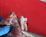 鶏もも肉の捌き方作り方14写真