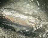 塩酒粕で♡腸活ハーブ鶏ハム作り方6写真
