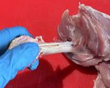 鶏もも肉を平らに捌く方法作り方15写真