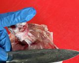 鶏もも肉を平らに捌く方法作り方14写真