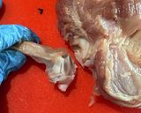鶏もも肉を平らに捌く方法作り方32写真