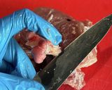 鶏もも肉を平らに捌く方法作り方27写真