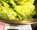 春キャベツで作る 日清謎肉放題で謎肉餃子作り方1写真