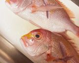尾頭付き 鯛の煮付け作り方2写真