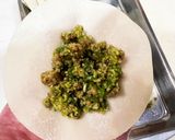 春キャベツで作る 日清謎肉放題で謎肉餃子作り方17写真