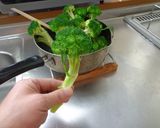最速のまるごとブロッコリーサラダ作り方28写真