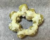 ケーキのデコにも でん六豆で作るもみの木作り方9写真