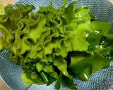 めかぶの下ごしらえ作り方7写真