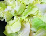 春キャベツと鶏肉の玉子野菜いため作り方2写真