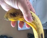 世界で一番美味しいバナナの食べ方作り方1写真