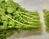 大根葉&とろろ昆布&しらす&おかか作り方1写真