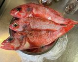 ユメカサゴの煮付け作り方1写真
