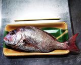 タイのカルパッチョ、アイスプラント添え作り方1写真
