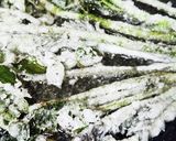 お年寄り絶賛シリーズ☆タラの芽☆片栗粉☆作り方5写真