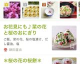 ★桜の花の塩漬け＆桜塩の作り方作り方17写真