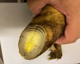 バズレシピ再現　たけのこ御飯作り方3写真