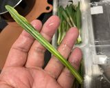 行者ニンニクの醤油漬け（ボイル）作り方3写真